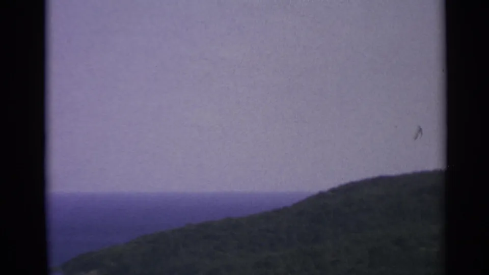 1967 US Virgin Islands home-movie frame showing a green hillside rising near blue coastal water beneath a pale purple sky.