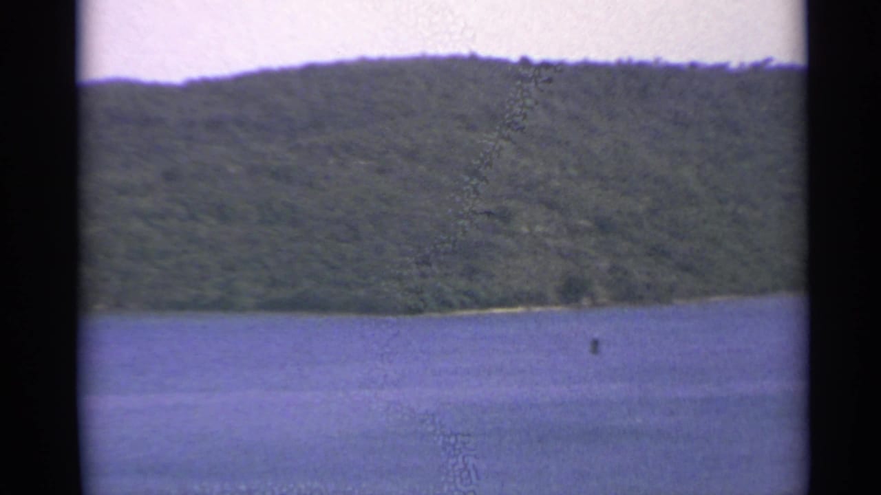 Forested hillside and blue water with a small distant dark shape on the surface.