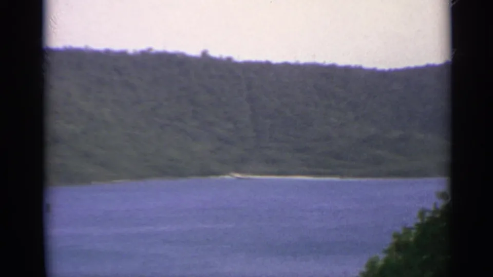 1967 US Virgin Islands home-movie view of blue water, a green hillside, and foreground foliage at the frame edge.