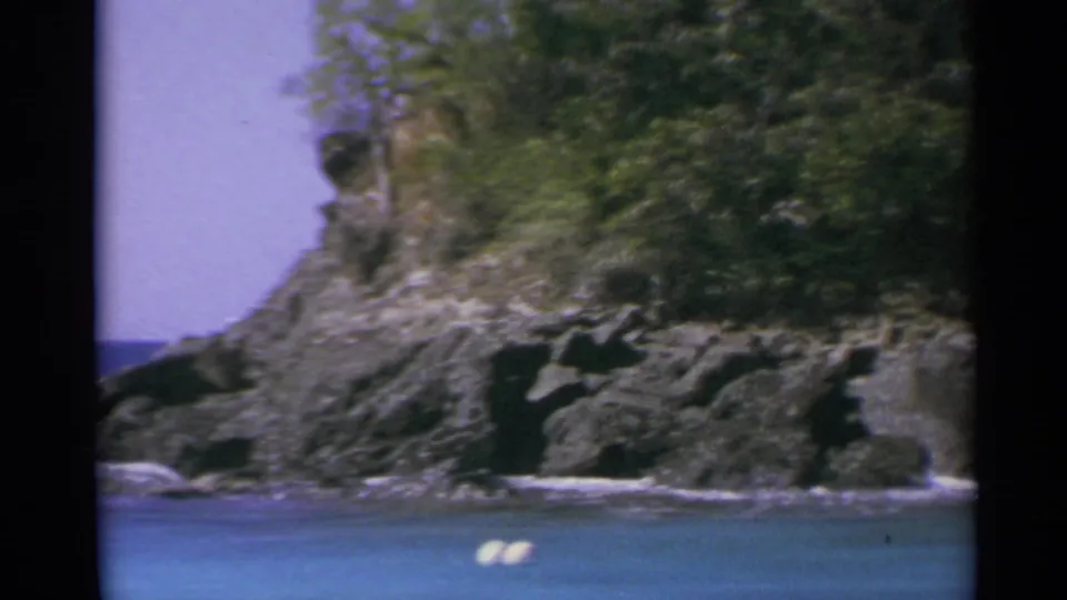 A soft 8mm coastal frame shows dark volcanic-looking rocks, shoreline water, and dense vegetation on a steep slope.