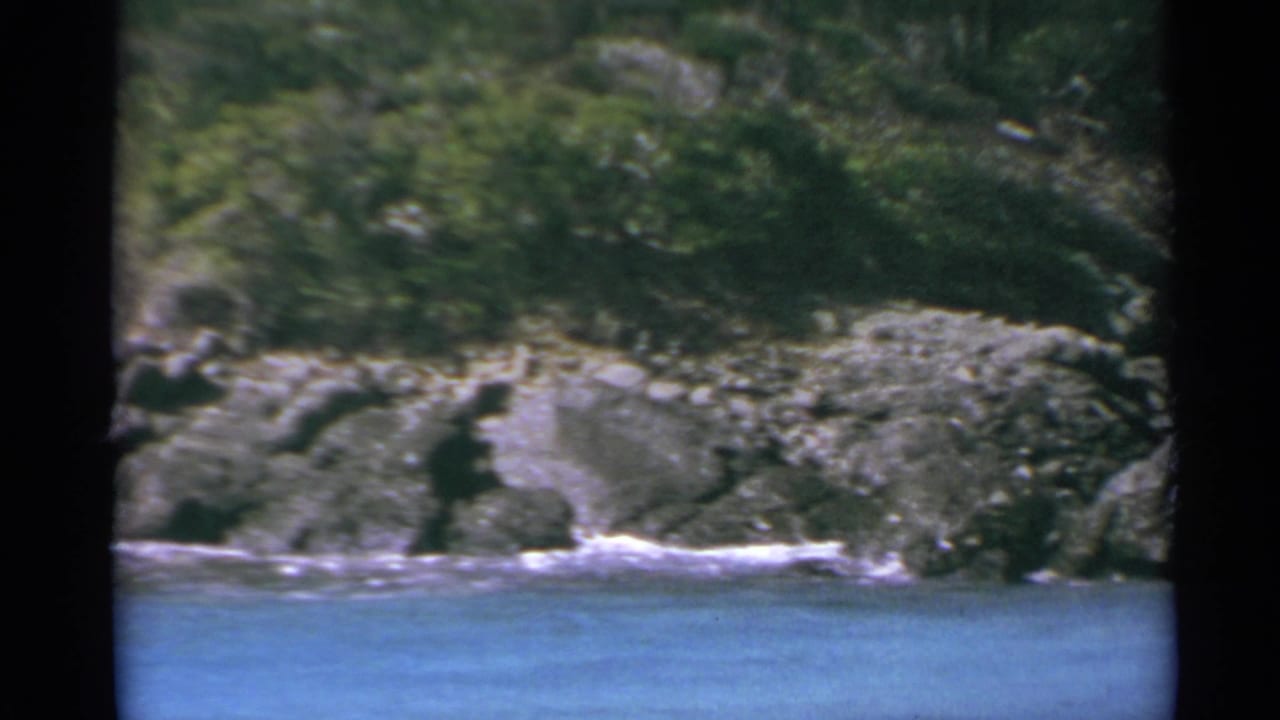 Rocky shoreline with turquoise water and green vegetation above the coast.