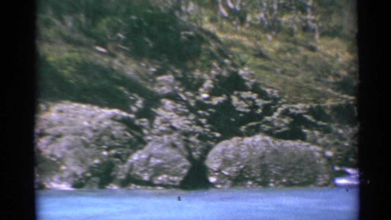 Rocky cove with blue water, surf, and green hillside above the shore.
