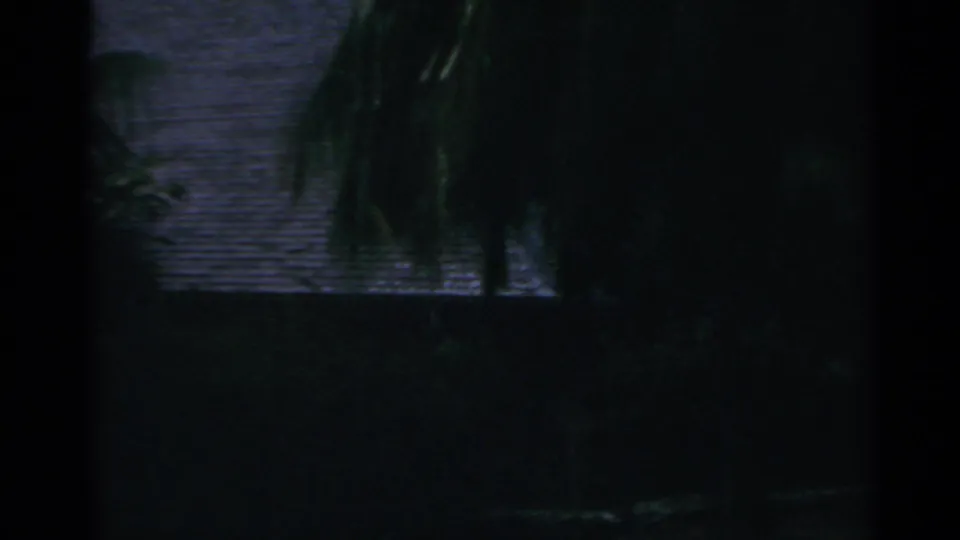 A dim handheld 8mm frame shows palm fronds silhouetted near water, likely part of the same tropical travel scene.