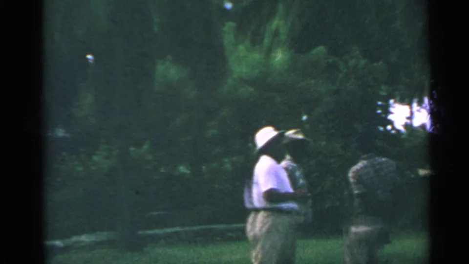 In a shaded tropical garden, an adult in a light hat and shirt stands near another figure among dense greenery and palm trees.