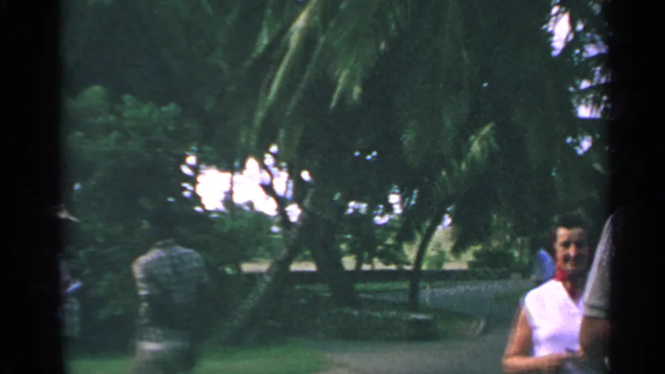 A woman in a white sleeveless top stands at the edge of a tropical garden frame, with palms and shaded lawn behind her.
