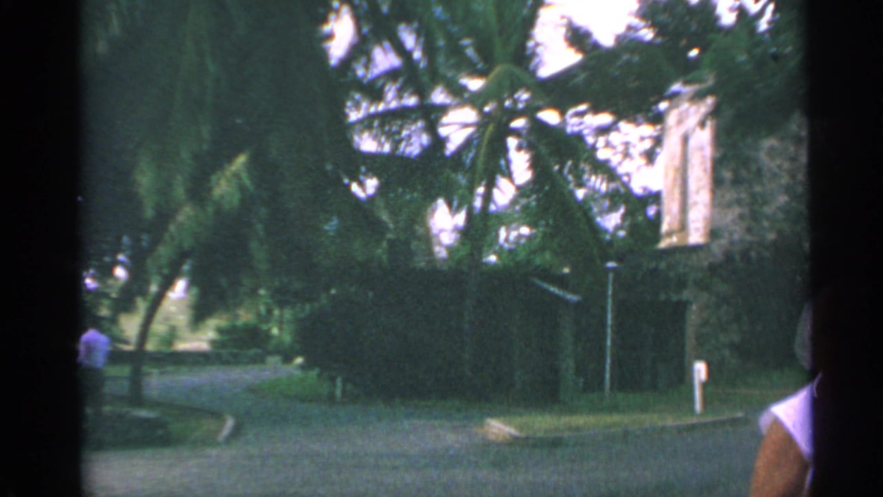 Palm-lined paved road curves beside a low resort building with a person partly visible at the edge.
