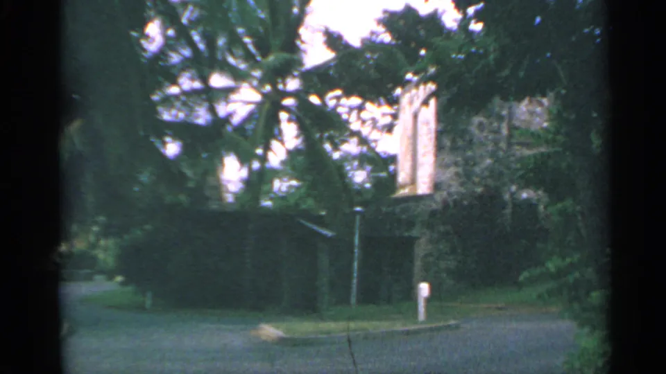 1967 8mm frame of US Virgin Islands resort grounds showing palms, dense greenery, a paved drive, a low structure, and a building wall in sunlight.