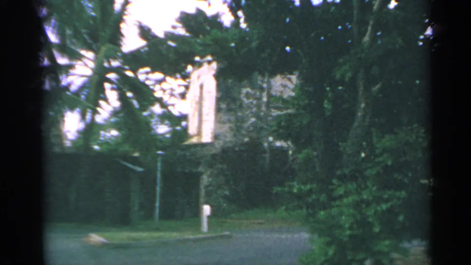 US Virgin Islands resort grounds in 1967 home-movie footage, with palm trees, shrubbery, a paved drive, a roadside post, and a low building partly hidden by foliage.