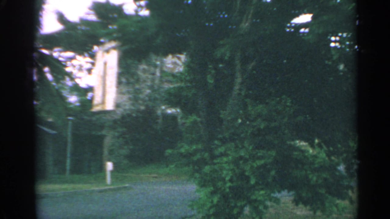 1967 US Virgin Islands home-movie frame showing leafy trees, a gravel path, and a pale stone building partly hidden by foliage.