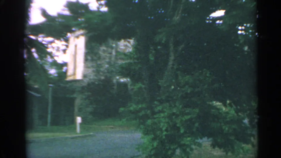 1967 US Virgin Islands home-movie frame showing leafy trees, a gravel path, and a pale stone building partly hidden by foliage.