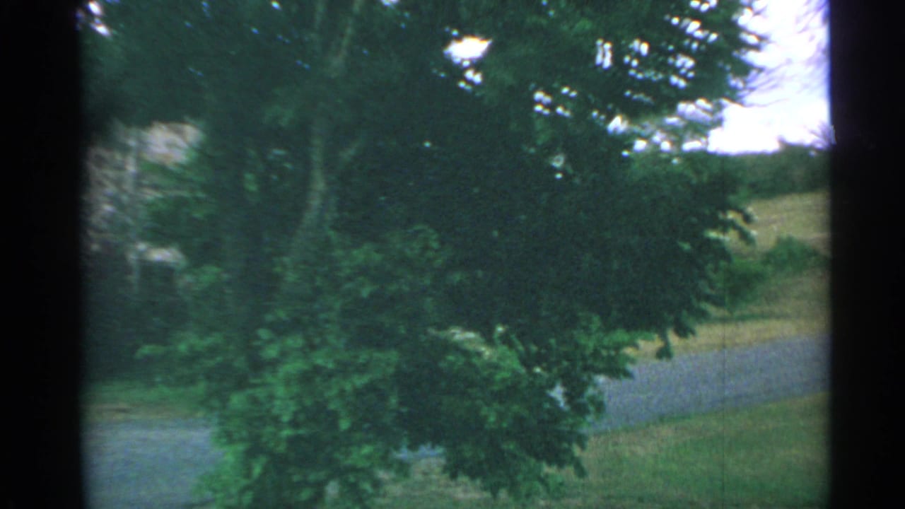 Leafy trees fill the foreground with a gravel path and grassy slope beyond.