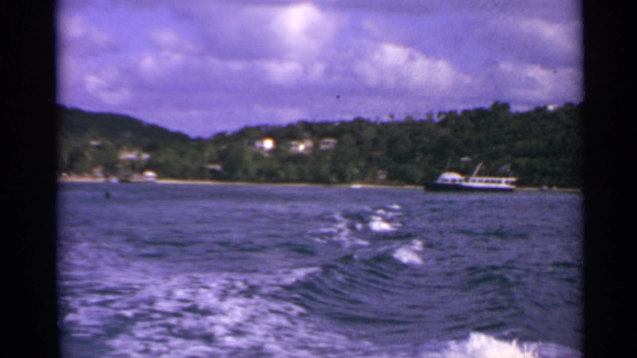 Foamy wake crosses open water toward a green shoreline with a white passenger boat.