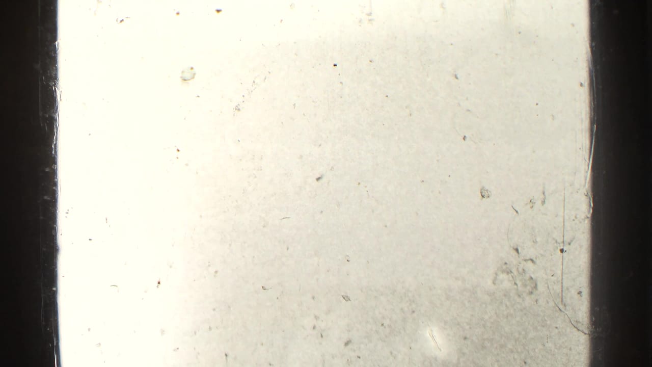 Mostly bright frame with vertical dark film or window edge and visible dust.