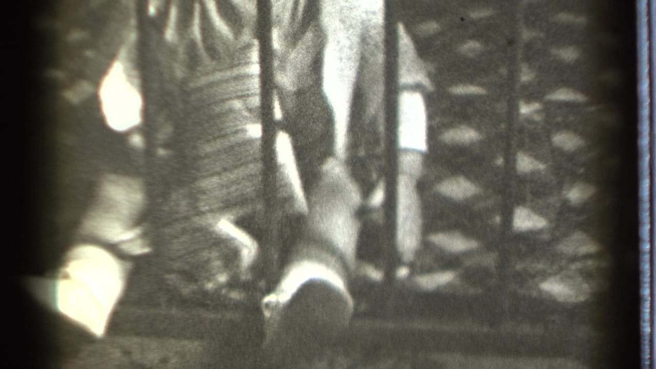 Baby's hands grip a vertical metal bar behind a patterned railing.