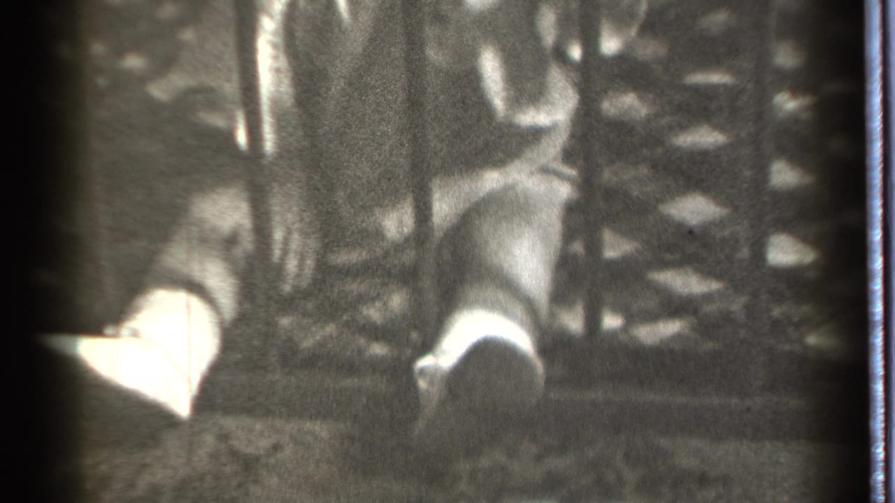 In 1939 Danielson home-movie footage, a seated child is partly visible behind vertical bars with light socks and fabric nearby.