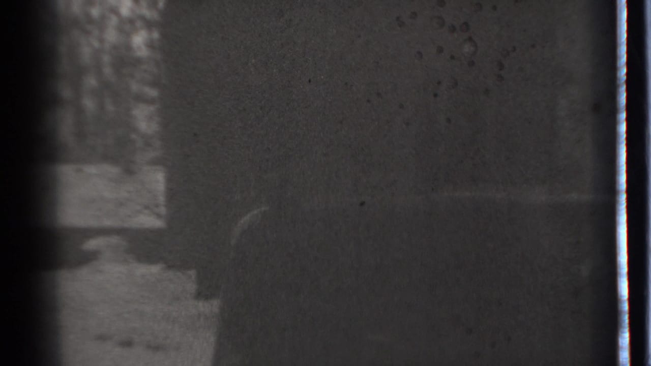 Dark close view with snowy trees at left and a narrow bright frame edge at right.