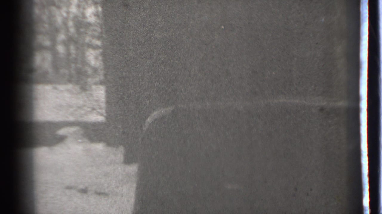 Dark car edge beside snowy ground and bare trees in a grainy winter frame.