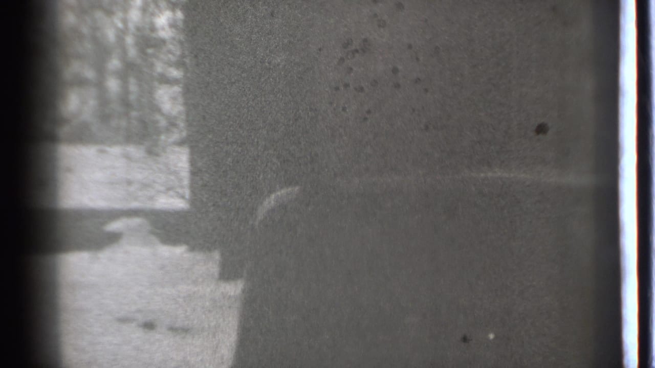 Snowy roadside scene with a dark vehicle edge and bare trees in soft focus.