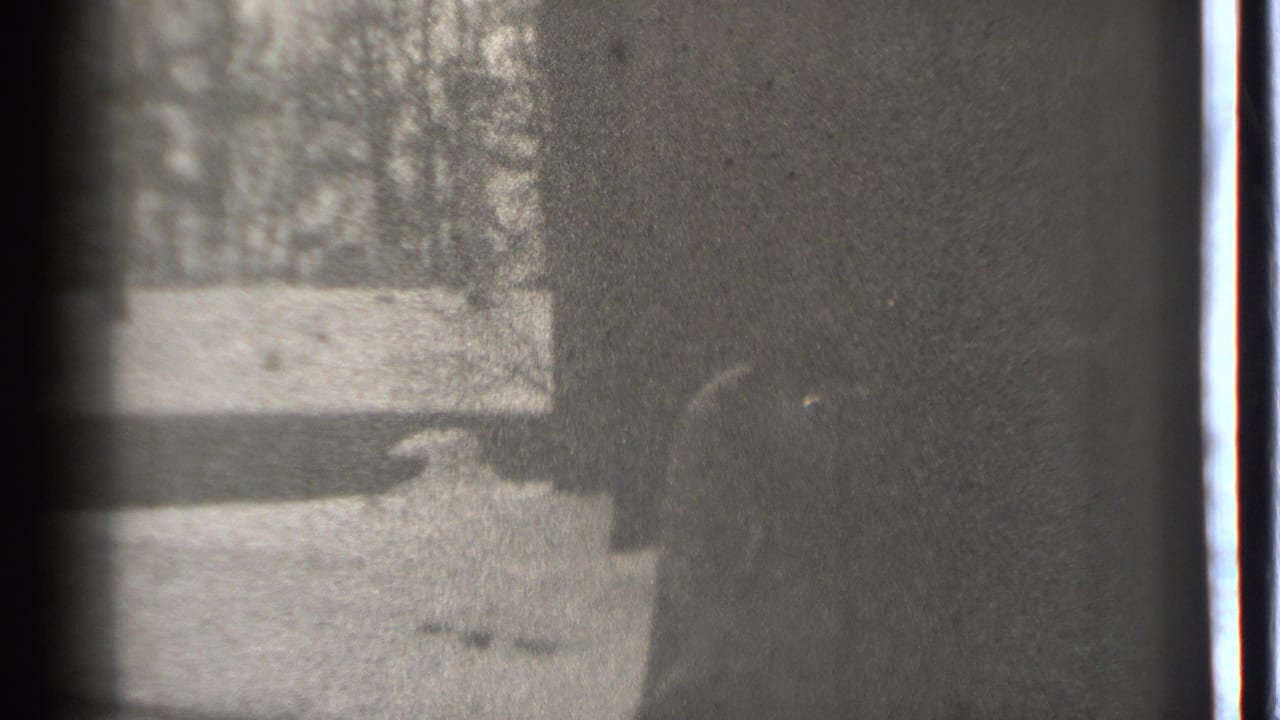 Dark wall or doorway with a faint shadowed figure near pale ground and trees.