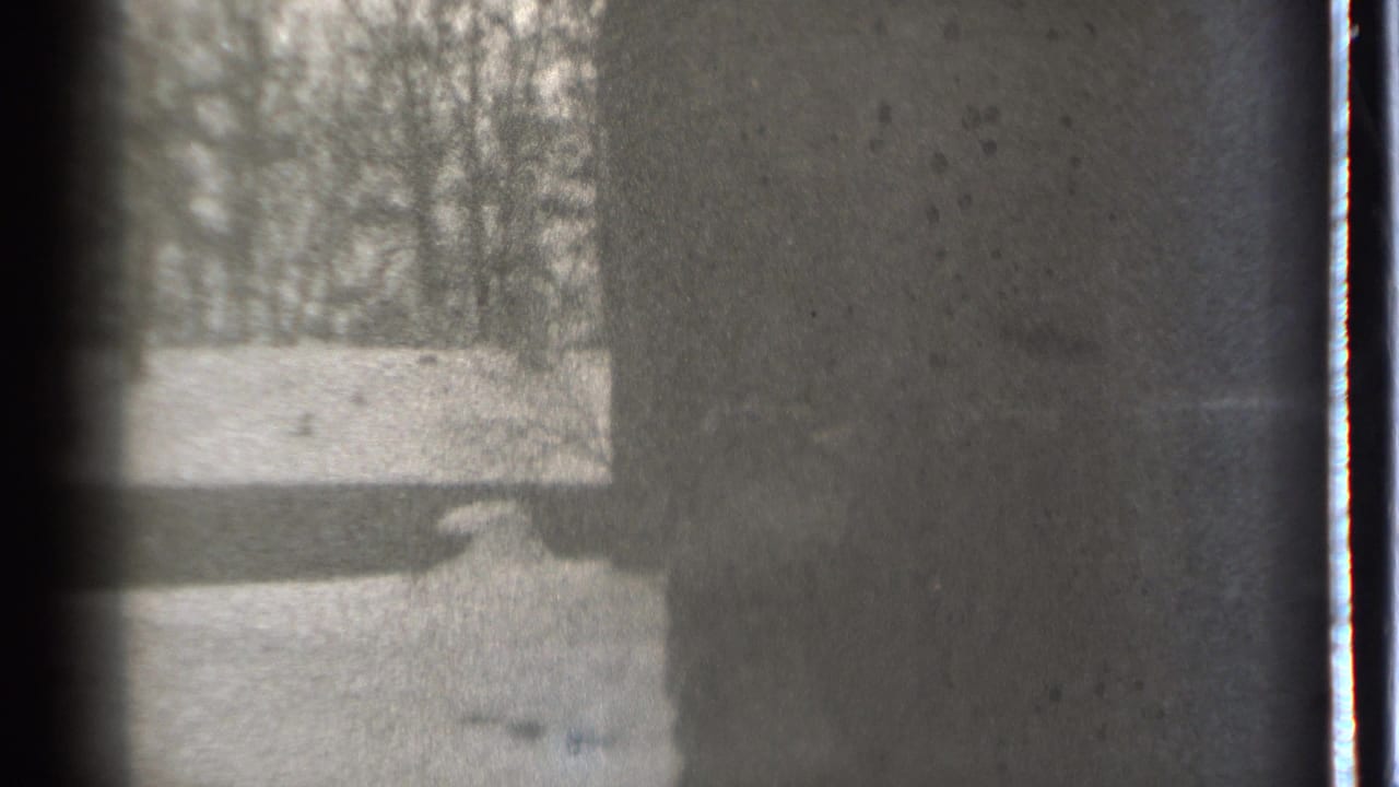 Shadowy figure beside a dark vertical wall with trees and pale ground in the background.