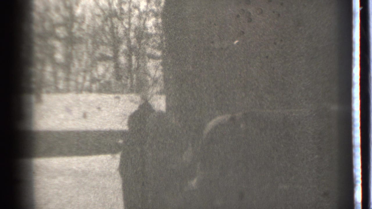 Bundled person holding a child in a snowy yard with bare trees behind them.