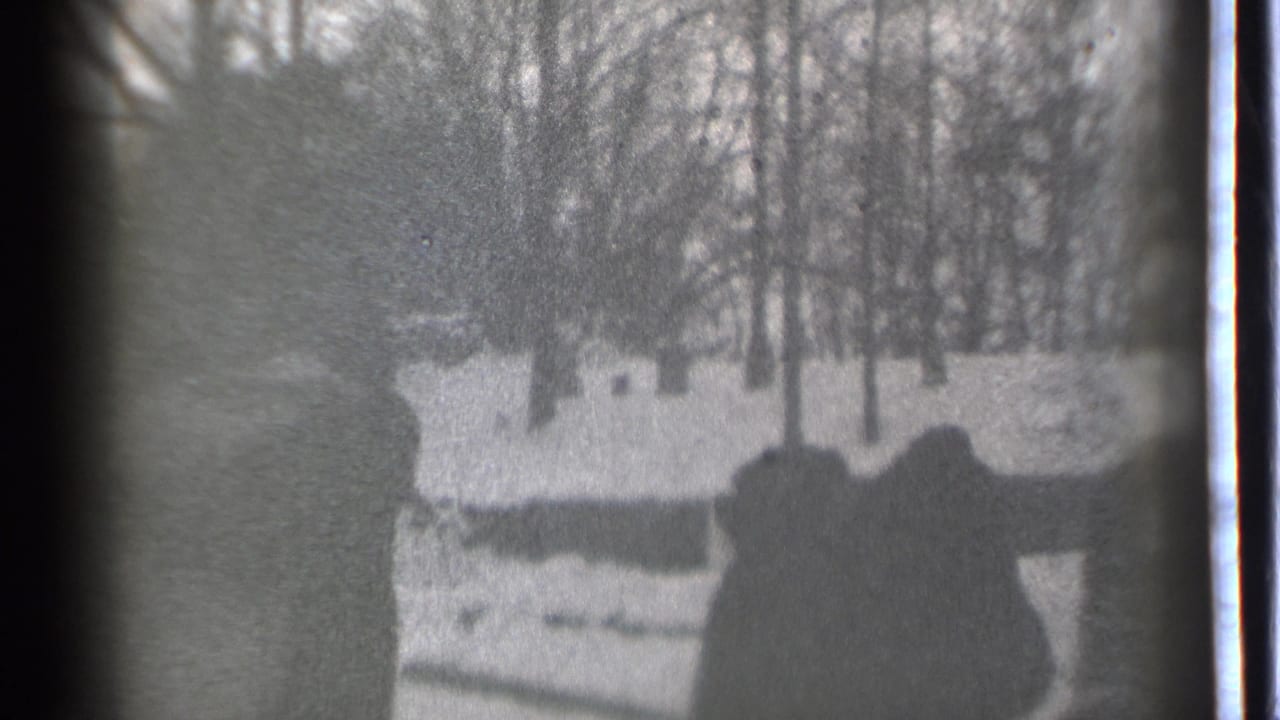 Two dark figures stand or move near a snowy yard with bare trees in the background.