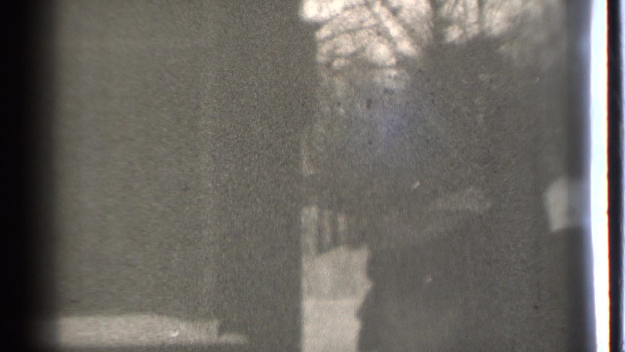 Snowy yard seen through a dark obstructed window with bare trees in the background.