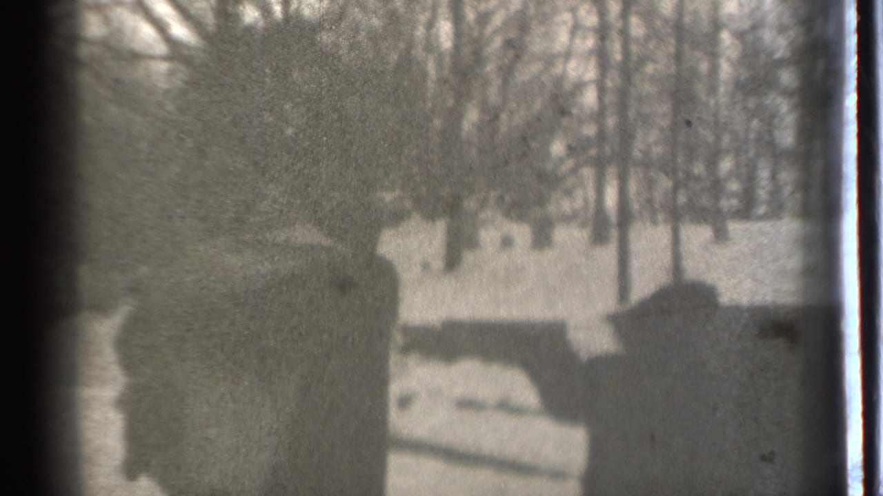 Dark silhouettes stand near snow and bare trees in a winter yard.