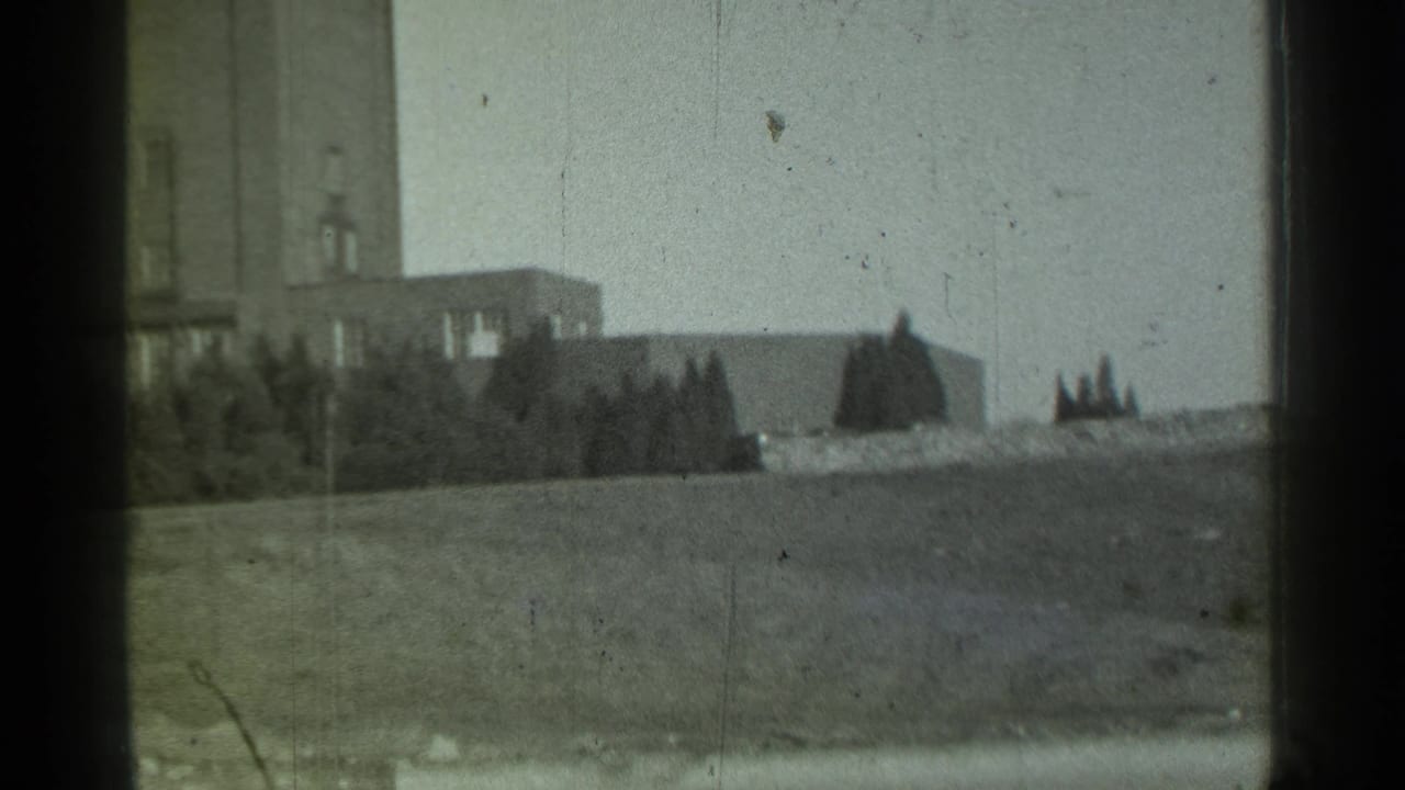 Towered building and shrubs viewed from behind a window mullion.