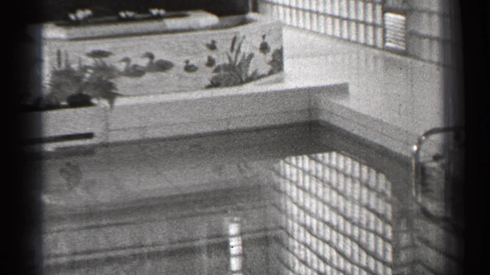 1944 San Francisco frame showing a tiled bath or pool edge with painted plant motifs, glass-block wall, and a bright interior corner.