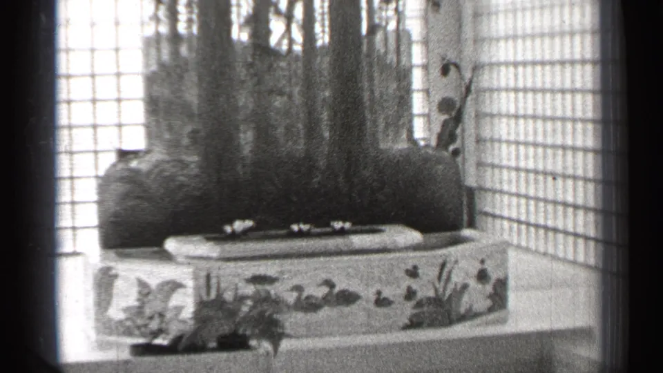 Wider 1944 San Francisco 8mm view of a tiled spa or bath area with plant decoration, painted trim, glass-block windows, and strong window light.