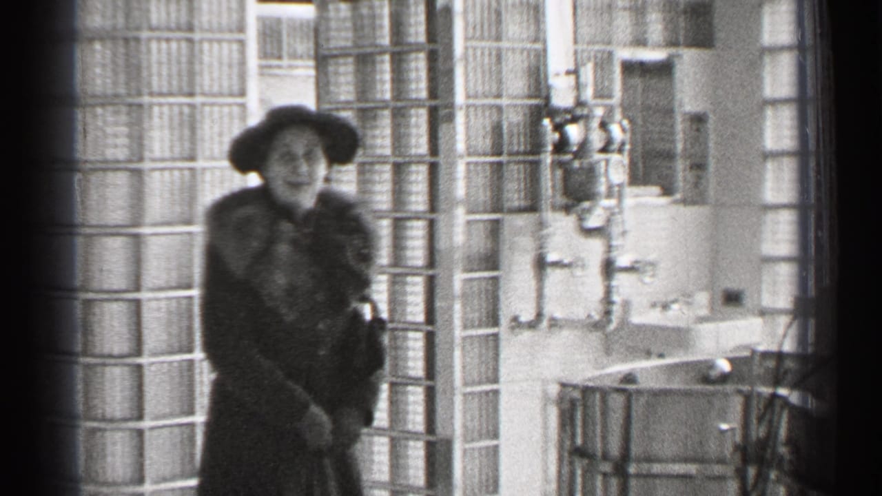 Woman in a wide-brimmed hat and dark fur-collared coat standing inside a bright glass block room.