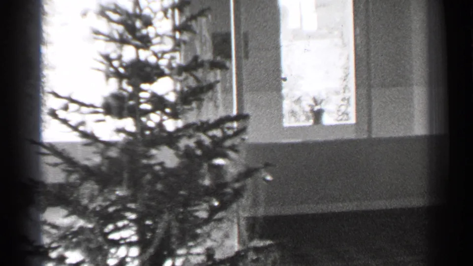 A small indoor tree or plant appears near tall windows in the same black-and-white 8mm interior setting.