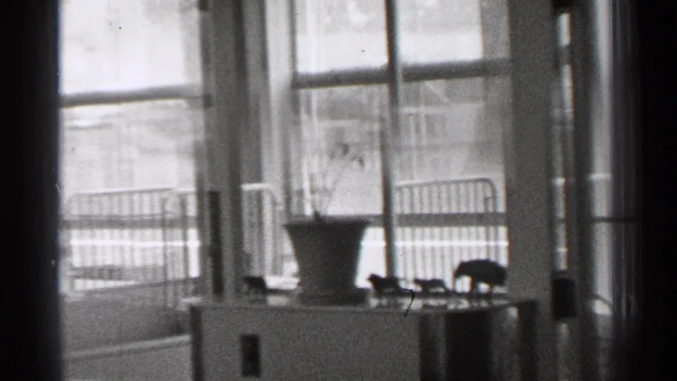 1944 San Francisco home interior showing large windows, a potted plant, and small household objects near the sill.