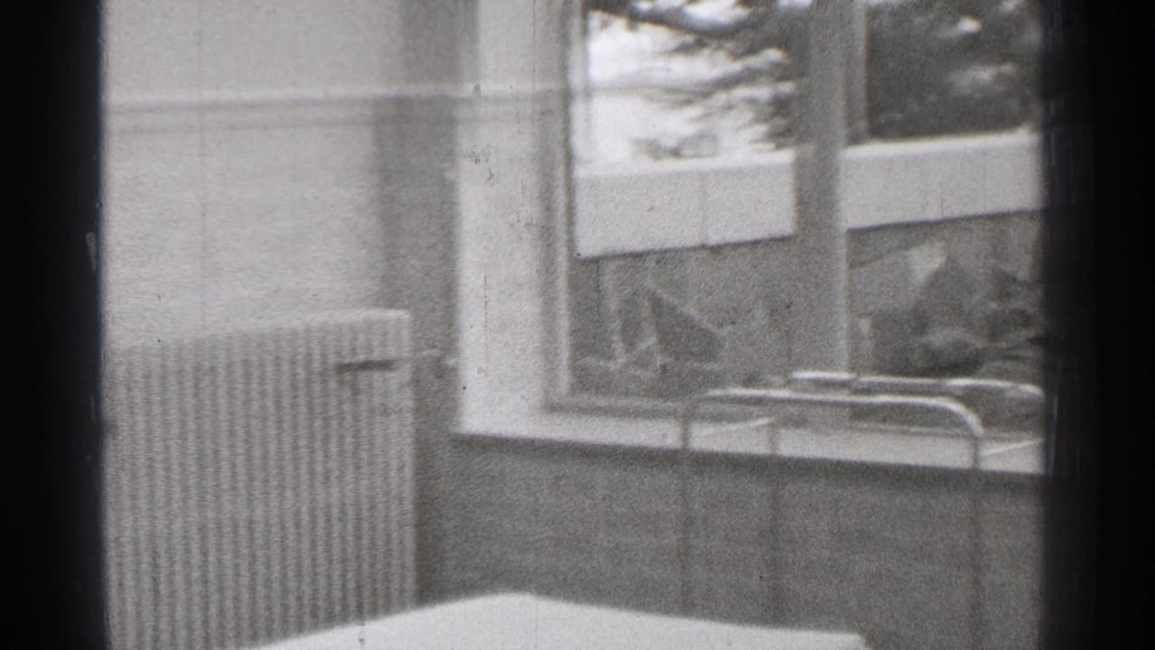 Interior or window-side view with radiator, wall, window, and outdoor shapes beyond the glass.