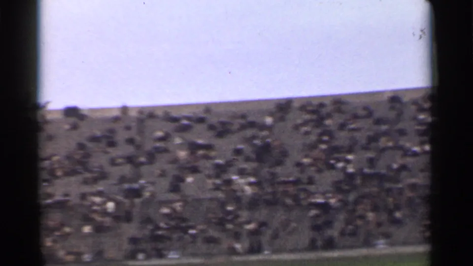 Distant 1944 San Francisco stadium view with spectators filling the stands and no clearly identifiable faces or signage.