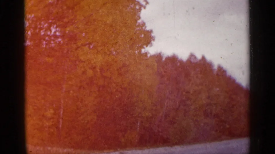1960 Michigan 8mm frame with reddish color shift, dense tree line, pale sky, and a sloping road or river edge in the foreground.