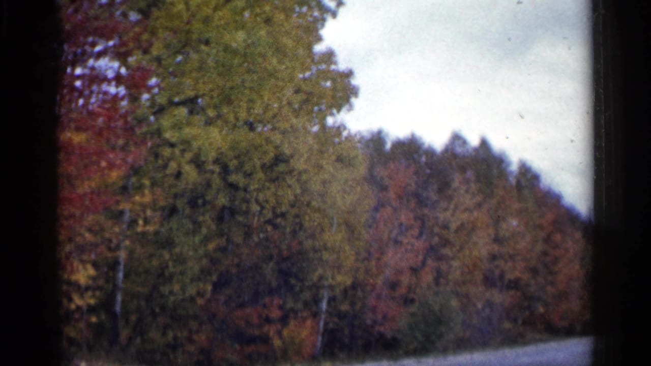 1960 Michigan 8mm frame showing a wooded roadside with mixed autumn colors and a pale sky.