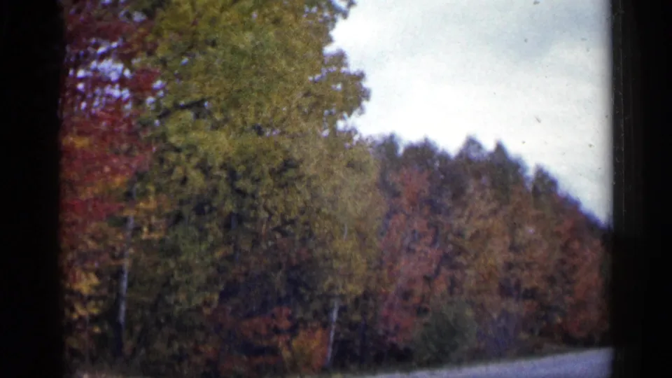 1960 Michigan 8mm frame showing a wooded roadside with mixed autumn colors and a pale sky.
