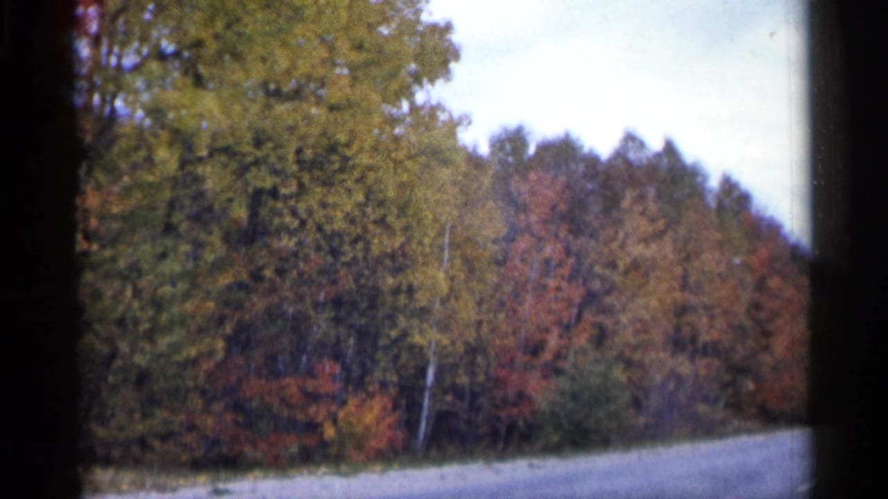1960 Michigan roadside view with a gentle curve and dense autumn trees in red, orange, yellow, and green.