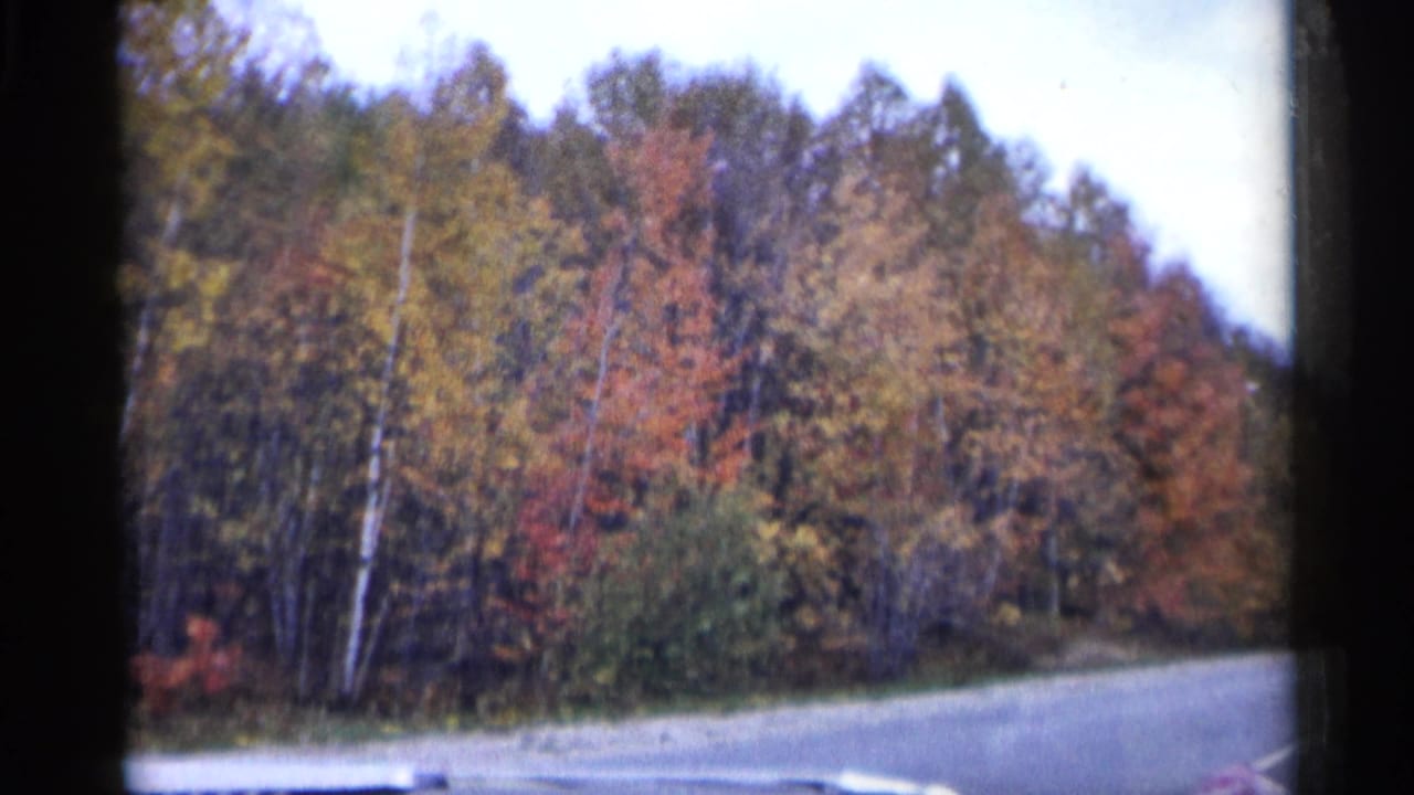 Curving road beside autumn trees with red and gold leaves.