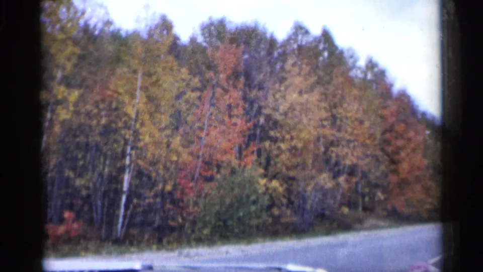 1960 Michigan 8mm frame showing a paved roadside bordered by dense autumn trees with red, orange, and gold foliage.