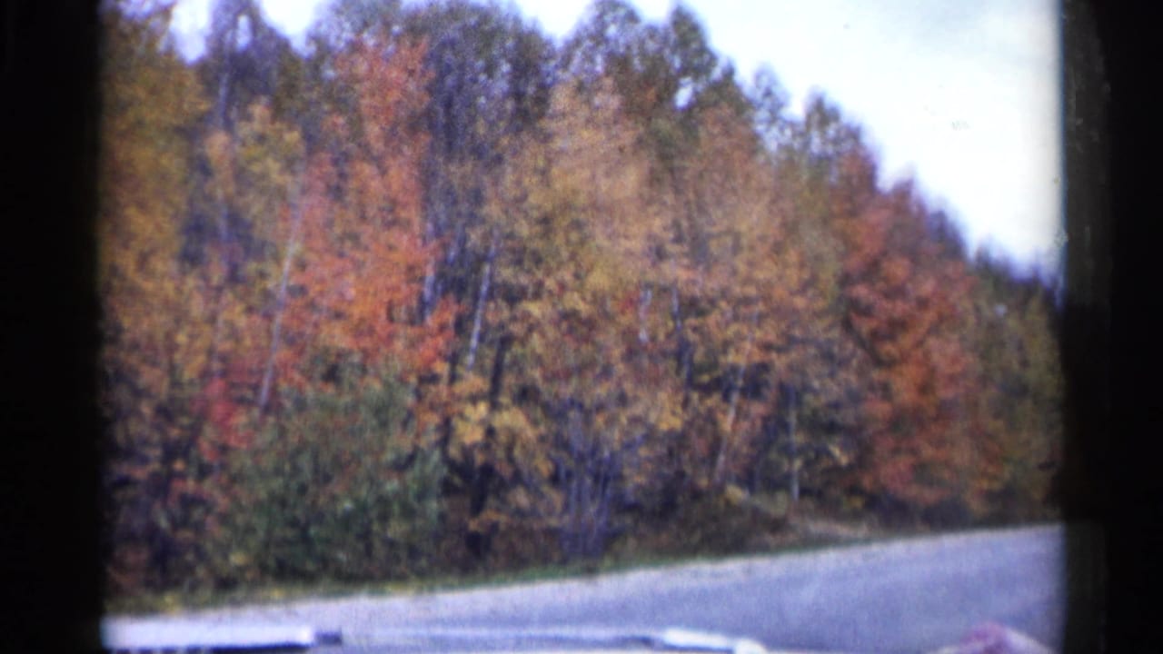 1960 Michigan home-movie view of a road passing a wooded slope with mixed red, orange, and gold leaves.