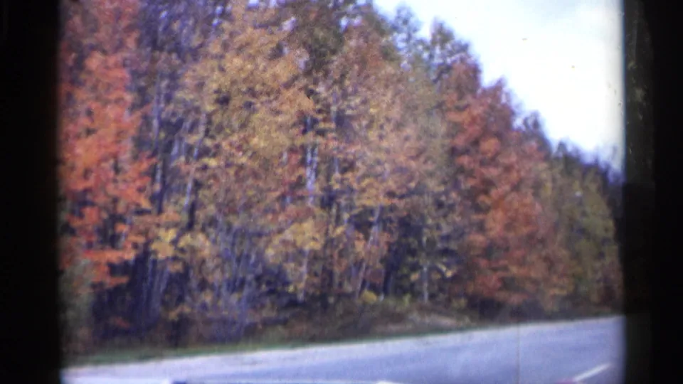 1960 Michigan 8mm frame with motion-softened trees and a paved road seen from a moving vehicle.