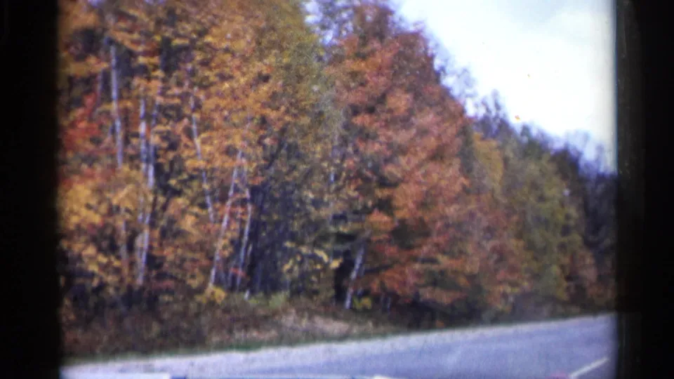 1960 Michigan 8mm view from a moving vehicle along a road bordered by orange and yellow autumn forest.