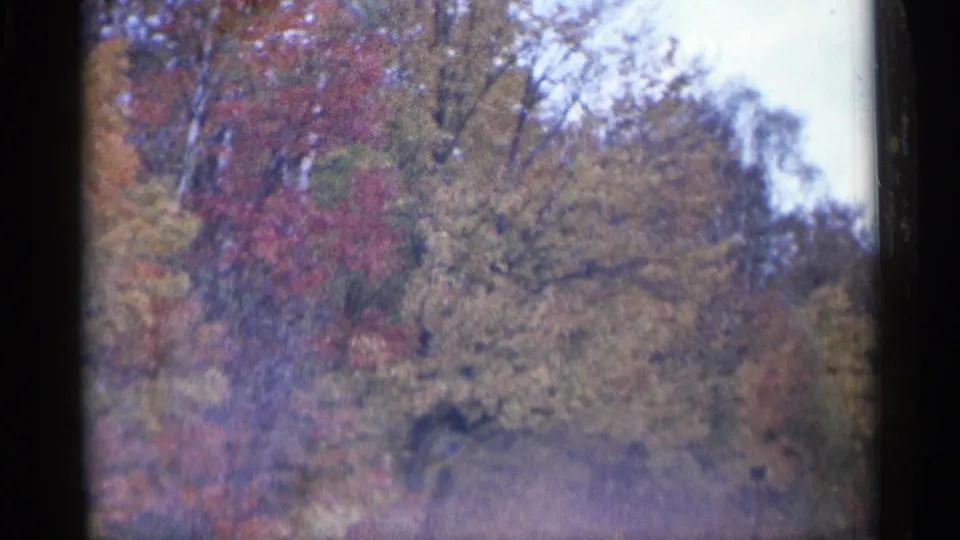 1960 Michigan home-movie frame of passing autumn woods, softened by vehicle motion and 8mm film grain.