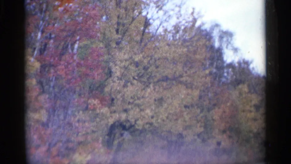 Final 8mm frame of Michigan autumn trees in muted reds and yellows, viewed from a moving vehicle.