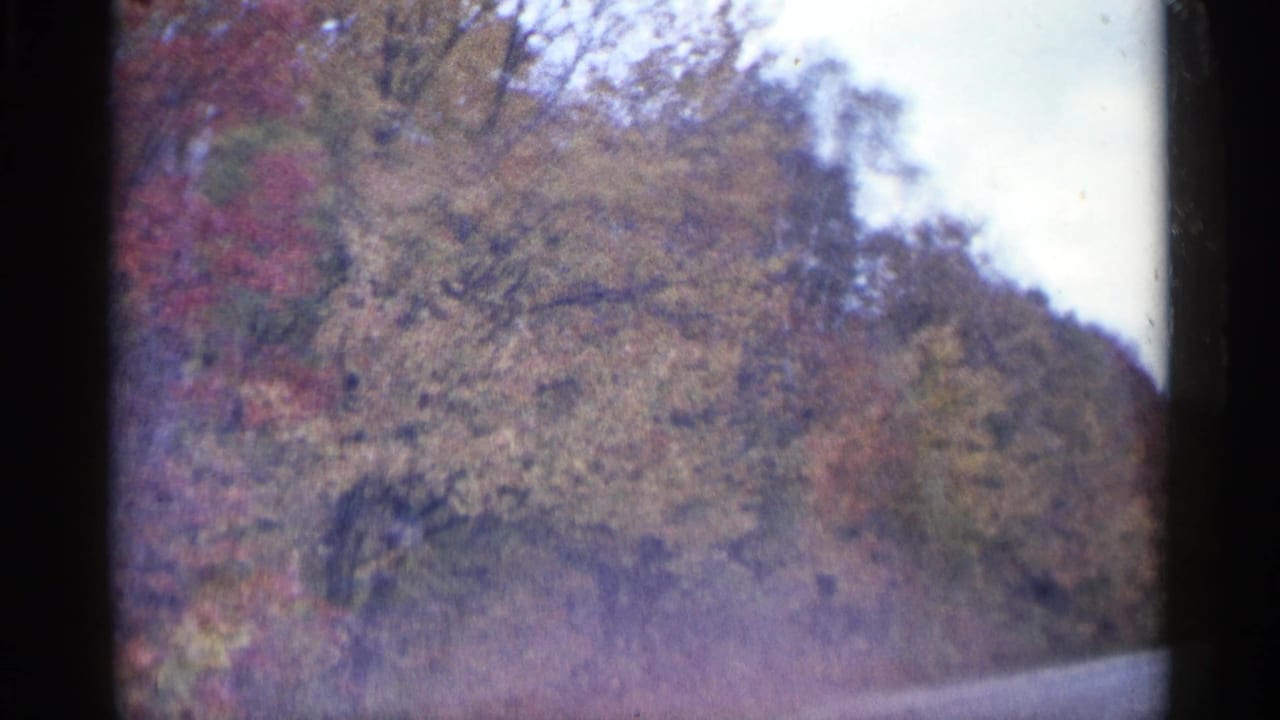 1960 Michigan 8mm frame showing a roadside view of autumn trees on a sloped wooded embankment beneath an overcast sky.