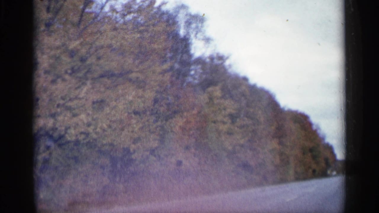 1960 Michigan home-movie frame looking along a road bordered by dense autumn trees and a low, cloudy sky.