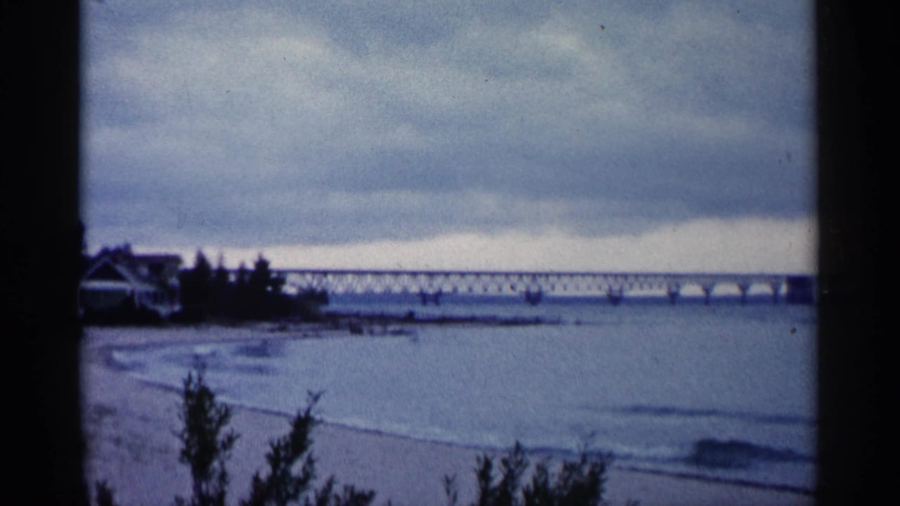 Distant bridge over water with a sandy shoreline, cloudy sky, and trees at left.